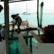 22- Les huitres greffees sont remises a l'eau dans des paniers 